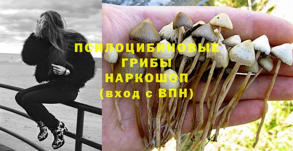 скорость Аркадак