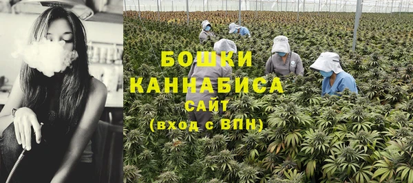первитин Арсеньев