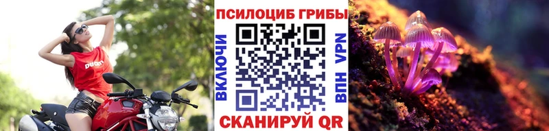 Галлюциногенные грибы Psilocybine cubensis купить Светлогорск